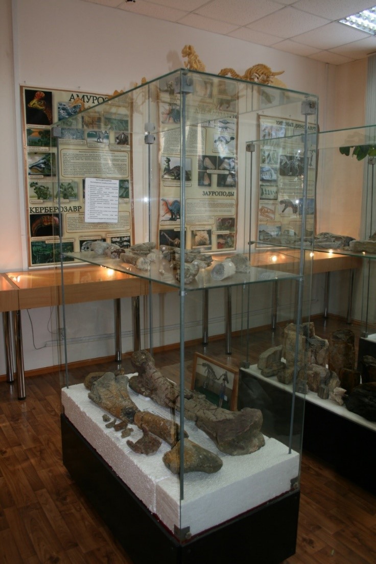 Палеонтологический отдел кабинета-музея геологии